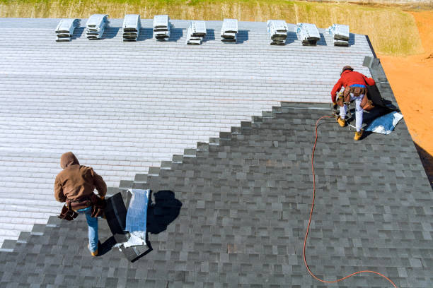 Roof Waterproofing Services in Lucedale, MS