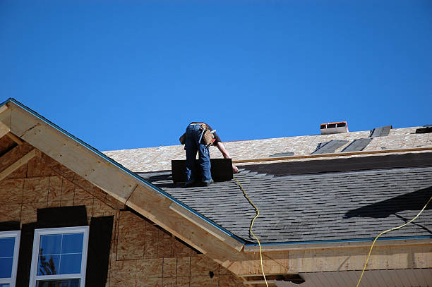 Best Storm Damage Roof Repair  in Lucedale, MS