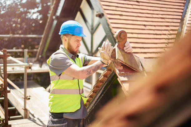 Best Storm Damage Roof Repair  in Lucedale, MS