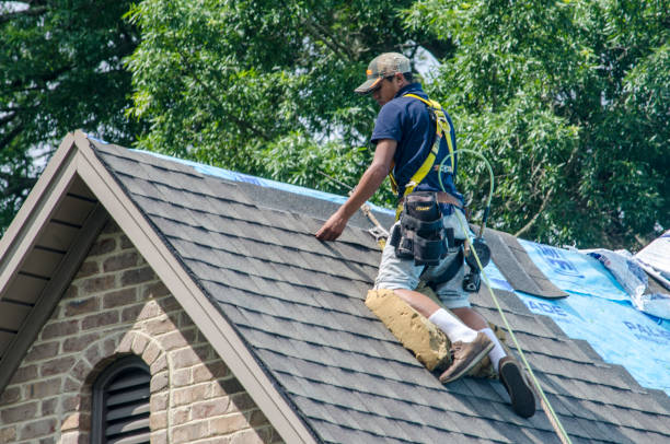 Best Roof Leak Repair  in Lucedale, MS